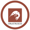 crustaceos